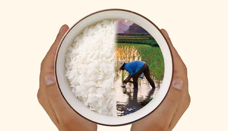 反對食品浪費，崇尚節(jié)儉美德