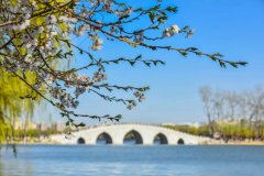 春分｜草長鶯飛春分到，正是讀書好時節(jié)