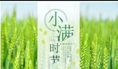 小滿丨晴日暖風(fēng)生麥氣，綠蔭幽草勝花時。