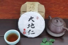 <b>大地仁 · 古樹普洱茶 | 5.21國際茶日</b>