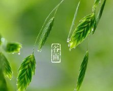 谷雨｜暮春，夏將至。